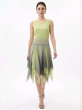 ECI New York Silk Dress